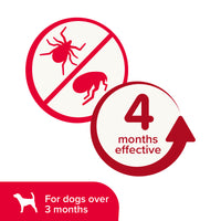 Beaphar - Dog Plastic Flea Collar - Brown 65cm