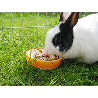 ROSEWOOD - Chew Resistant Carrot Bowl for Small Animals
