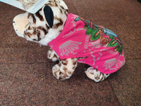 Christian Audigier dog jumper - 26cm