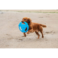 GiGwi - Flying Tug Tri Bone - Blue