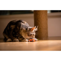 GiGwi - Refillable Bear Ziplock Cat Toy