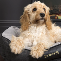 Scruffs - Windsor Charcoal Dog Bed - Large (75 x 60cm / 29.5" x 24")