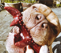 Miro & Makauri - Large Veg Antler Chew - 17cm