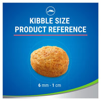 Dentalife - Salmon Cat Treats - 40g