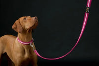 Oscar & Hooch - Dog Collar - Hot Pink - X Large