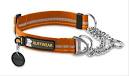 Ruffwear - Chain Reaction Collar - Burnt Orange - Small (28-36 cm)