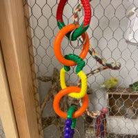 Classic - Fruity Swing Rings - Bird Toy - Medium - 30cm