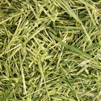 Friendly Readigrass - Green Oat - 1kg