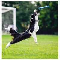 GiGwi - Flying Tug Tri Bone - Blue