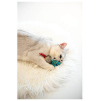 GiGwi - Refillable Rabbit Ziplock Cat Toy