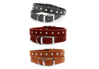 Ancol - Leather Colar Studded - Black - Size 3 (16")