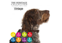 Ancol - Vintage Padded Collar - Chestnut - 70cm/28"