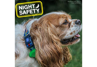 Ancol - Soft Blinker - Green