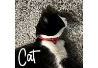 Ancol - Softweave Cat Collar - Black