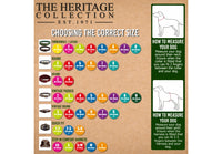 Ancol - Timberwolf Leather Hound Collar - Sable - Whippet (30-34cm)