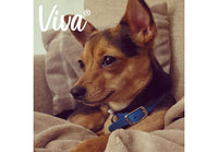 Ancol - Viva Nylon Buckle Collar - Pink - Size 6 (45-54cm)