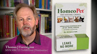 HomeoPet - Leaks No More - 15ml