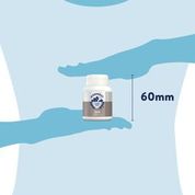 Dorwest - Garlic Tablets - 100 Tablets