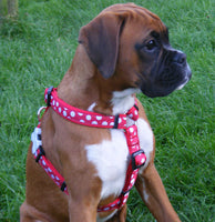 Red Dingo Black Bumble Bee Harness Large