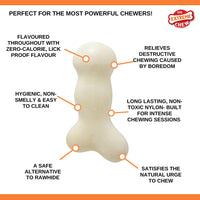 NYLABONE - GALILEO - MEDIUM