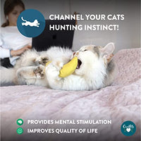 Cosmic Catnip - Banana With Catnip