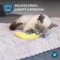 Cosmic Catnip - Banana With Catnip