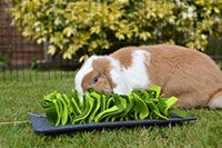 Rosewood - Snuffle Forage Mat For Small Animals