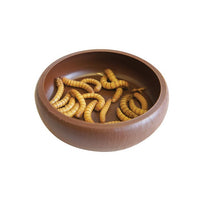 Komodo - Mealworm Dish