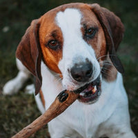 Anco - Roe Deer Leg Hairy