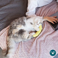 Cosmic Catnip - Banana With Catnip