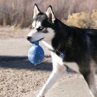 Kong - Occasions Birthday Balloon - Blue - Large