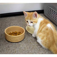 Mason Cash - Ceramic Cat Bowl Lettered - 5" (13cm)