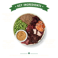 Lilys Kitchen - Dry Dog Adult Venison & Duck - 2.5kg