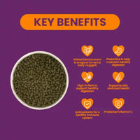 Burgess - Excel - Guinea Pig Blackcurrant - 1.5kg