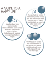 Science Selective - Chinchilla Food - 1.5kg