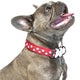 Red Dingo - Red Stars  Dog Collar - Large