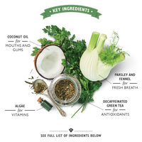 Lilys Kitchen - Woofbrush Dental Care Dog Treats - Large - 7 Sticks (47g)