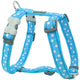 Red Dingo - Turquoise Stars Harness - Medium