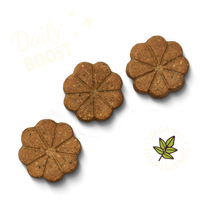 Lilys Kitchen - Rise & Shines Baked Treat - 80g