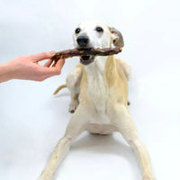 Natural Dried Treats - Duck Neck