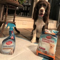 Simple Solution - Dog Washable Diaper - Large