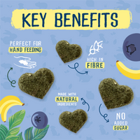 Burgess - Excel Nature Snacks Fruity Feasts - Banana & Blueberry - 60g