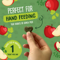 Burgess - Excel Nature Snacks - Herby Hearts - Mixed Herbs & Apple - 60g