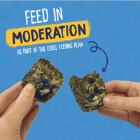 Burgess - Excel - Forage & Feast Hay Bar - Cornflower - 60g