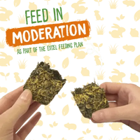 Burgess - Excel - Forage & Feast Hay Bar - Merigold - 60g