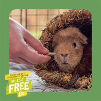 Burgess - Excel Nature Snacks - Herby Hearts - Mixed Herbs & Apple - 60g