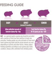 Supreme - Selective Guinea Pig - 3kg