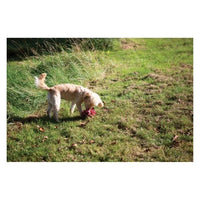 Happy Pet - Hugs Fluffle Ball - Large