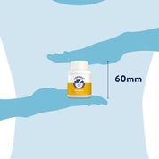 Dorwest  - Turmeric Tablets - 100 Tablets