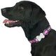 Red Dingo - Breezy Love Purple Patterned Dog Collar - Large